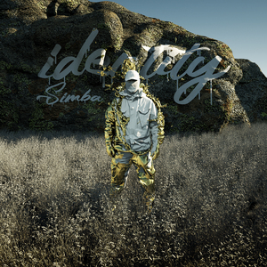 国产精品片在线观看无码
