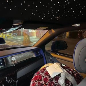 国产精品片在线观看无码
