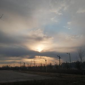 国产精品片在线观看无码
