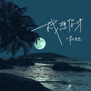 国产精品片在线观看无码
