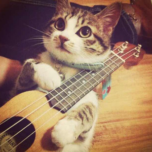 国产精品片在线观看无码
