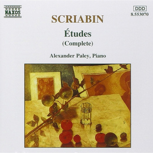 国产精品片在线观看无码
