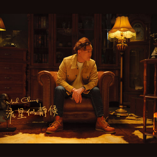 国产精品片在线观看无码
